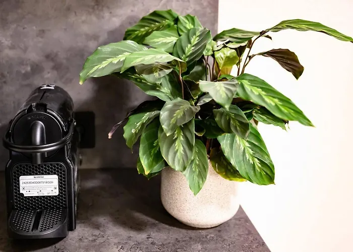 Cozy In Prenzlauer Berg Berlin